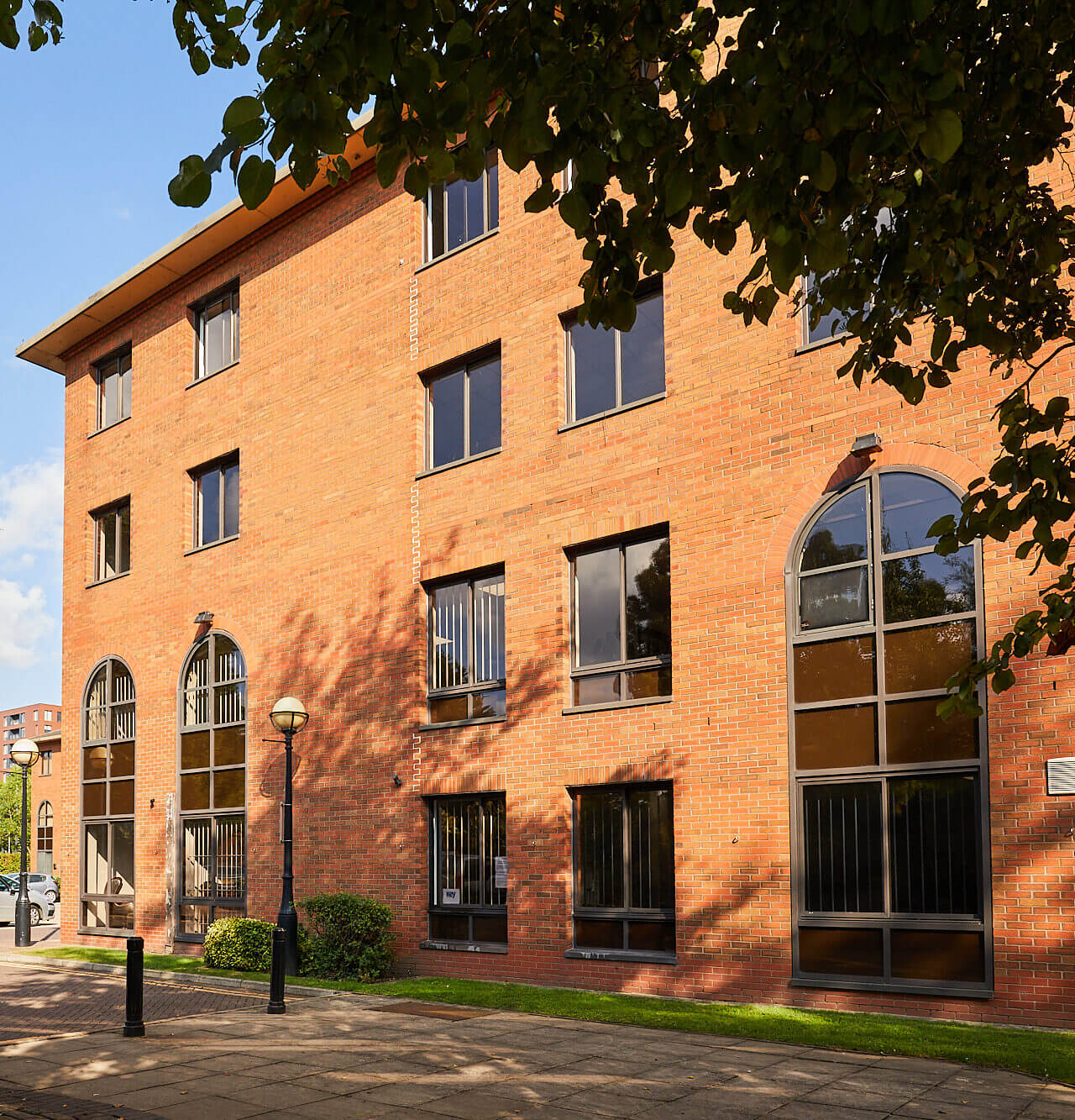 External shot of The Junction at Salford Quays with a big tree in the foreground